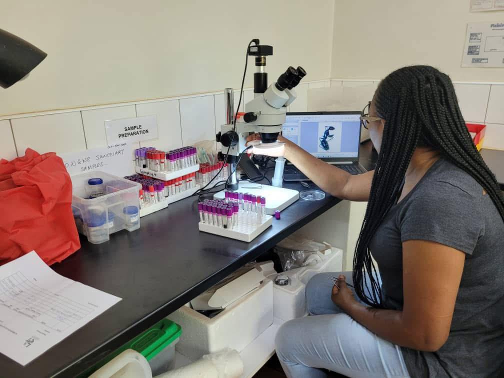 Master in Biodiversity Informatics