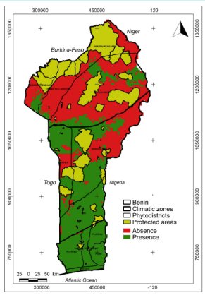 Ecological Niche of Spondias mombin