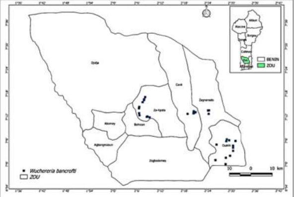 Spatial distribution of lymphatic filariasis